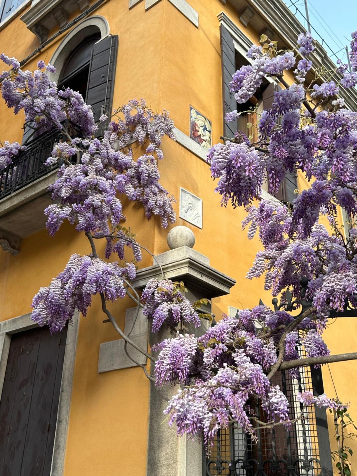 Carbonaia Venezia Veneza Exterior foto